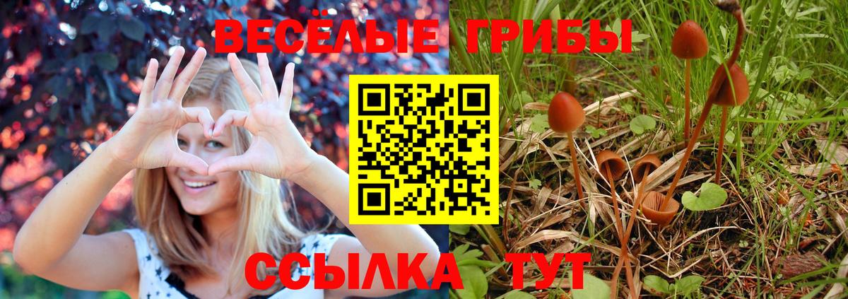 Галлюциногенные грибы Magic Shrooms  Вход с VPN  Псилоцибиновые грибы мухоморы  цена   Новоуральск 